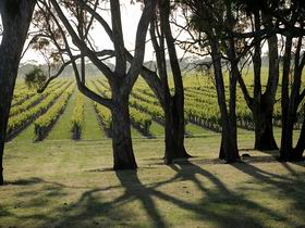 Henry's Drive Vignerons - eAccommodation 0