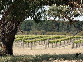 Wangolina Station - eAccommodation 3