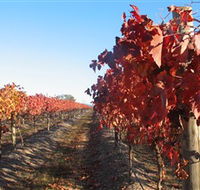 Kooyonga Creek Wines - eAccommodation