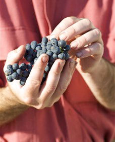 Modewarre VIC eAccommodation