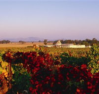 Morris Wines - eAccommodation
