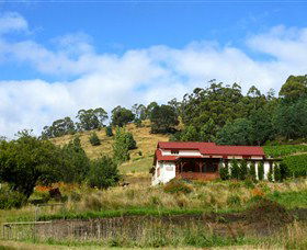 St Imre Vineyard - eAccommodation 0