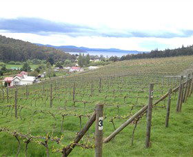 St Imre Vineyard - eAccommodation 1