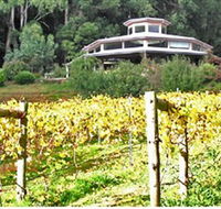 Peveril Vineyard/Beechy Berries - eAccommodation