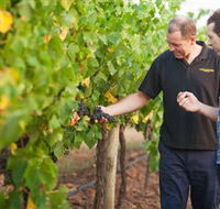 Fratin Brothers Vineyard - eAccommodation