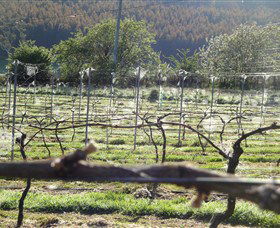 Red Hills TAS eAccommodation