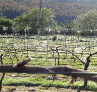 Three Willows Vineyard - eAccommodation