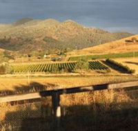 Optimiste Wines - eAccommodation