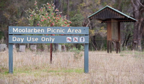 Moolarben Picnic Area - eAccommodation 1