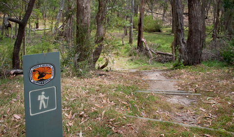 Moolarben Picnic Area - eAccommodation 0