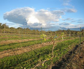 Flyfaire Wines - eAccommodation 7