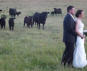 Athol Gardens - eAccommodation 2