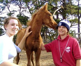 Bellarine Horse Riding Centre - eAccommodation 1