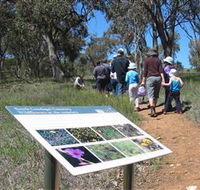 South Gundagai Woodlands Walk - eAccommodation