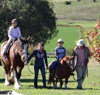 Bathurst Farm Experience - eAccommodation