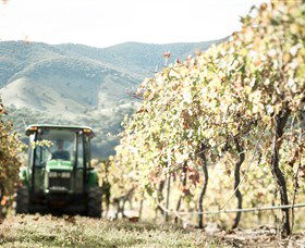 Logan Wines - eAccommodation 5