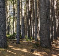 Sugarpine Walk - eAccommodation