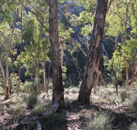 Mount Gray walking track - eAccommodation