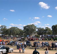 Quirindi Rural Heritage Village - eAccommodation