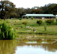 Clearview Alpacas - eAccommodation