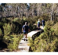Hume and Hovell Walking Track - Henry Angel Trackhead - eAccommodation