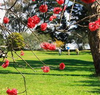 The Yass Golf Club - eAccommodation