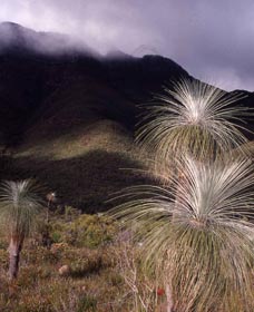 Bluff Knoll, Stirling Range National Park - eAccommodation 3