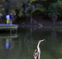 Birdwatching in the South Burnett - eAccommodation