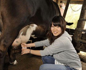 Warrook Farm - eAccommodation 2
