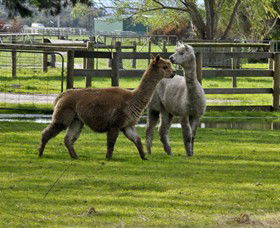 Warrook Farm - eAccommodation 6