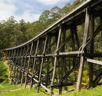 Noojee Trestle Bridge - eAccommodation