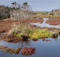 French Island National Park - eAccommodation