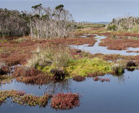 French Island National Park - eAccommodation 0