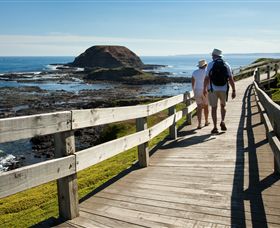 Phillip Island Nature Parks - eAccommodation 3