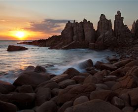 Phillip Island Nature Parks - eAccommodation 6
