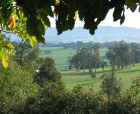 Brandy Creek Wines & View Cafe - eAccommodation 5