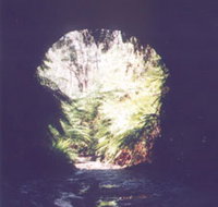 Glow Worm Tunnel - eAccommodation