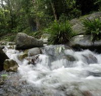 Washpool National Park - eAccommodation