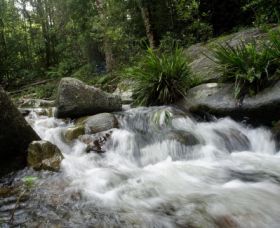 Washpool National Park - eAccommodation 0