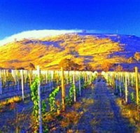 Surveyors Hill Winery - eAccommodation