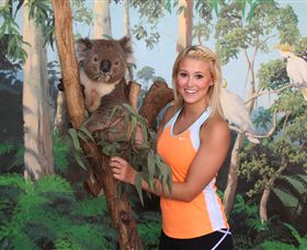 Maru Koala And Animal Park - eAccommodation 0