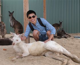 Maru Koala And Animal Park - eAccommodation 2