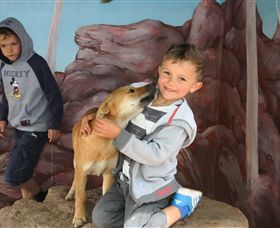 Maru Koala And Animal Park - eAccommodation 3