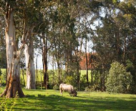 Ungulla Country Garden - eAccommodation 8