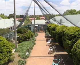 Canberra Walk In Aviary - eAccommodation 2