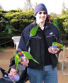 Canberra Walk In Aviary - eAccommodation 0