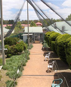 Canberra Walk In Aviary - eAccommodation 3
