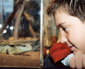 Canberra Reptile Zoo - eAccommodation 0