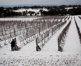 Savina Lane Premum Wines - eAccommodation 2