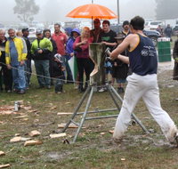 Lockyers Road Walking Track - eAccommodation
